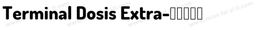 Terminal Dosis Extra字体转换